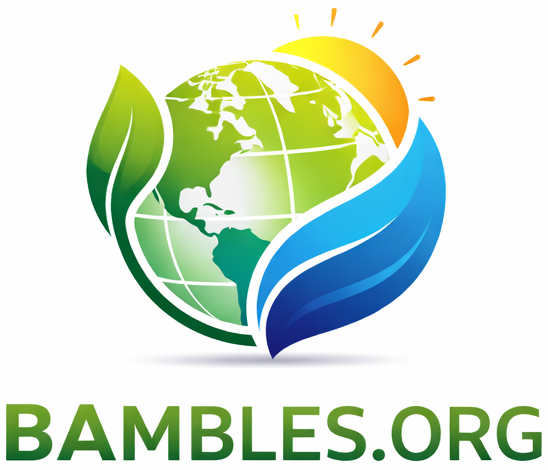 ChatGPT Image Feb 6, 2026, 07_48_44 AM